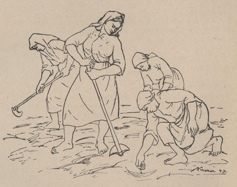 Vizualni identitet “Nove žene”