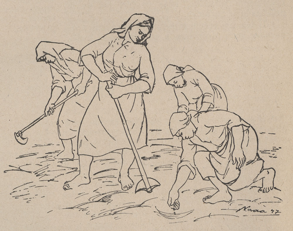 Vizualni identitet “Nove žene”